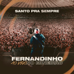 Fernandinho